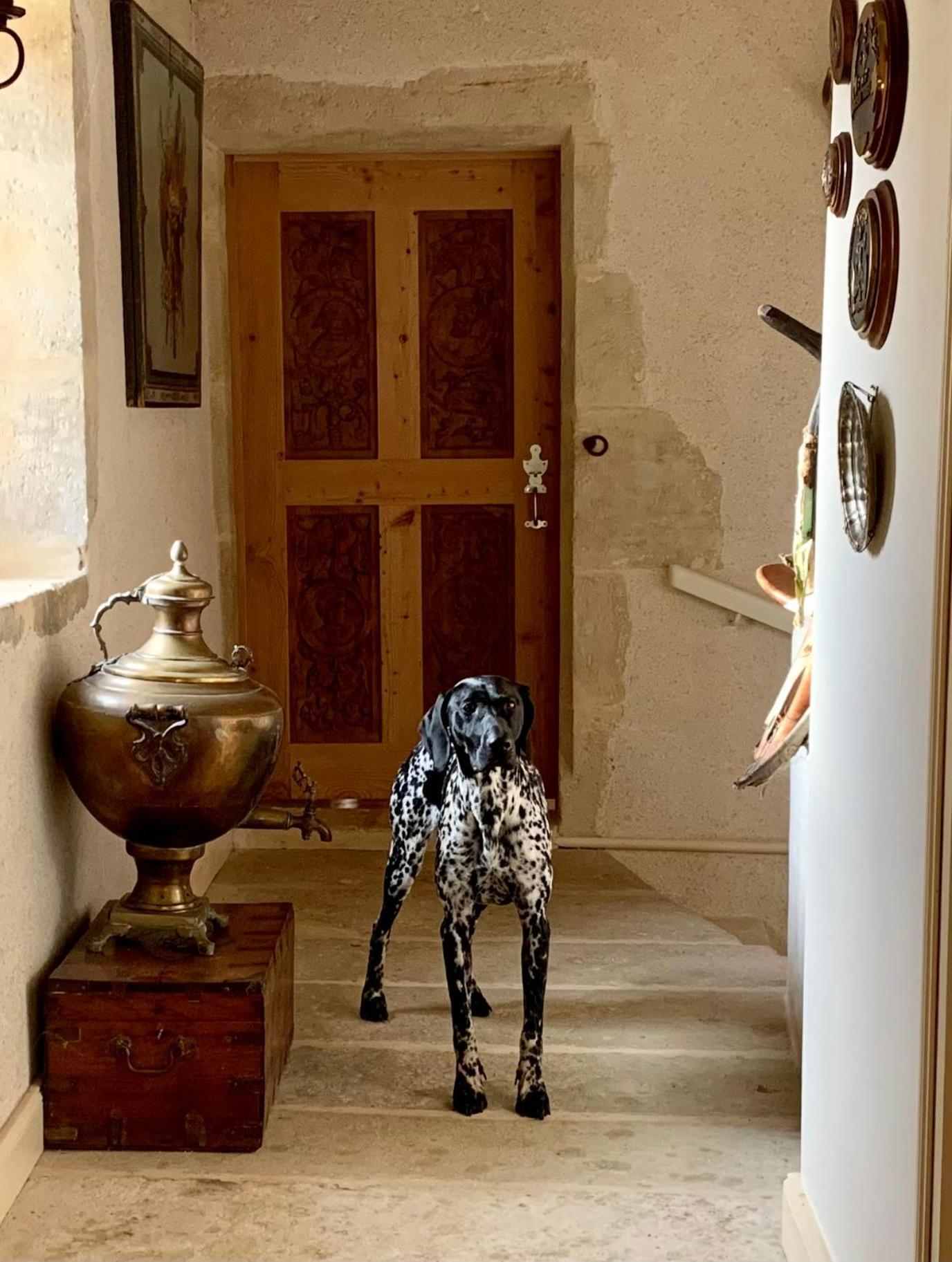 Logis De La Touche Bed & Breakfast Saint-Hilaire-des-Loges ภายนอก รูปภาพ